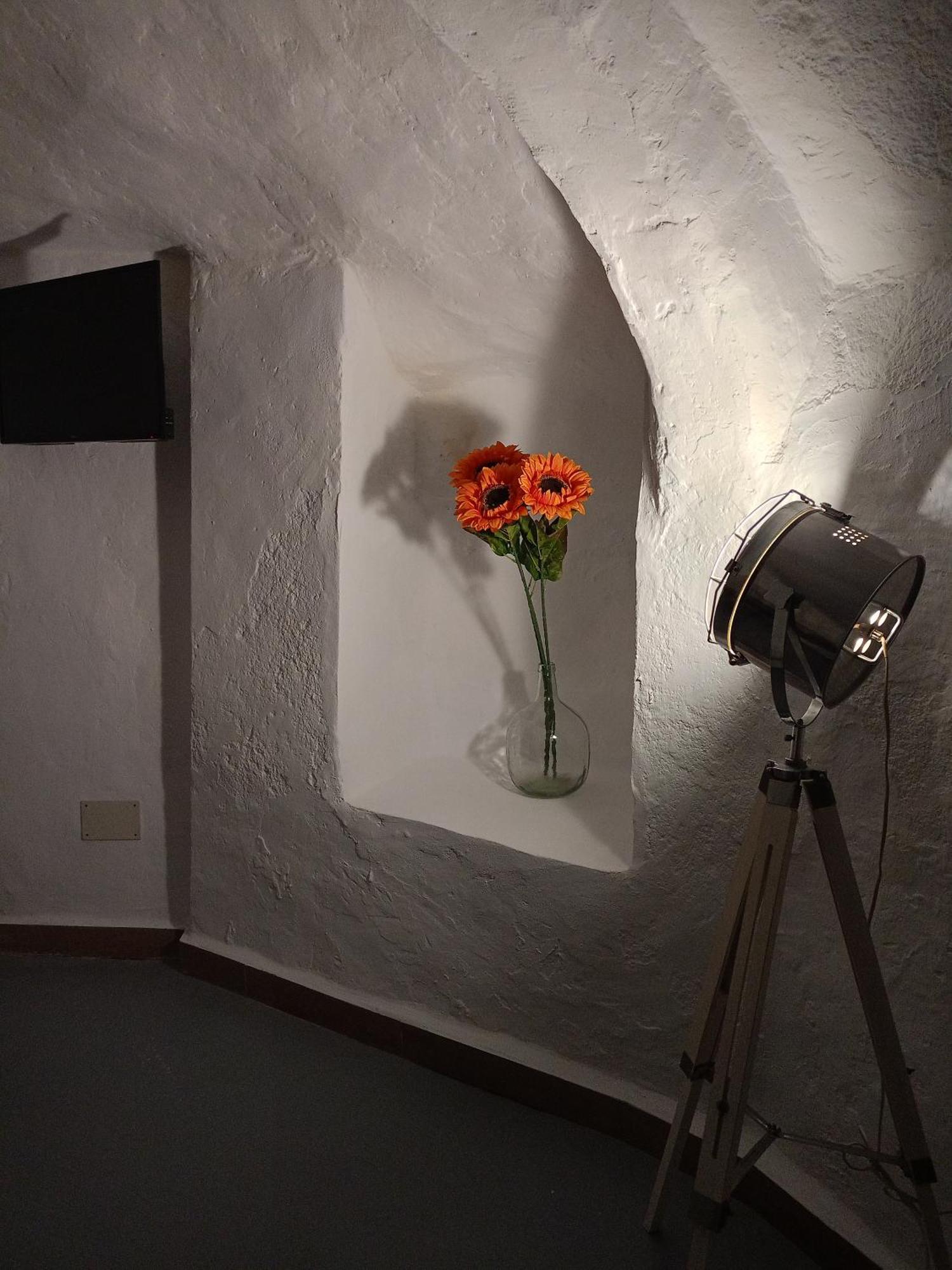 Encantadora Casa-Cueva En Pleno Barrio Alfarero De Níjar Zewnętrze zdjęcie